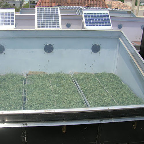 Solar Dryer